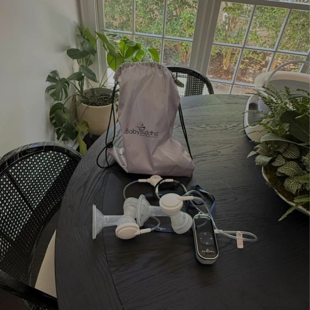 Breast Pump with Gray Bag
